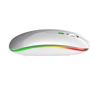 Lazmin Souris de Jeu à lumière colorée sans Fil 2.4Ghz, Souris d'ordinateur réglable DPI à Trois Vitesses Souris PC optiques Rechargeables USB pour XP/Vista/Me(Argent)