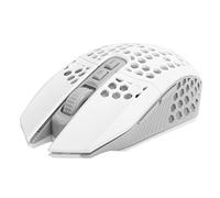 Lazmin112 Souris de Jeu légère de Conception en nid d'abeille, Souris de Jeu Rechargeable sans Fil 2.4Ghz avec récepteur USB rétro-éclairage RGB Souris d'ordinateur pour Ordinateur Portable(Blanc)