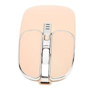 Lazmin112 Souris sans Fil, 2,4g BT 5.0 Mini Souris d'Ornineur Muette sans Fil avec 5 Touches, 800 1200 1600 DPI RÉGLALLES, Universelle pour Les Tablettes d'Ornideur avec Interface USB