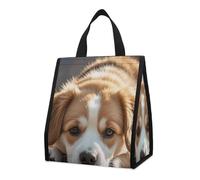 Lazy Dog - Sac à déjeuner isotherme pour homme et femme, grand sac d'épicerie réutilisable, étanche et pliable pour le travail, le camping, le pique-nique