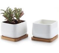 Lbgwp60-10cm Pot De Succulent En Céramique Avec Plateau En Bambou Blanc Lot De 2, Cactus Plante Planteur Cache Pot Jardinière Contenant Cadeau Pour Anniversaire Mariage