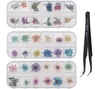 Lbgwp60-3 Boîtes Nail Art Kit De Fleurs Séchées Mélangées Gypsophile De Marguerite À Cinq Pétales Naturelle 3d Avec Pincettes Pour Décoration Design Craft Diy