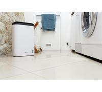 lbgwp60-Air&Me Déshumidificateur Evel - Basse Température Dès 0°C. Naturel Et Sans Compresseur, Connecté Et Programmable, Volet Oscillant
