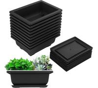 Lbgwp60-Lot De 10 Paquets De Pots D'entraînement Bonsaï Avec Plateau En Plastique Pour Plantes De Bonsaï Pour Jardin, Cour, , Chambre, Balcon, 16,5 X 12 Cm