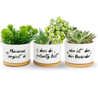 Lbgwp60-Lot De 3 Pots De Plantes Succulentes, Cadeaux D'anniversaire Pour S?Ur, Maman, Enfants, Famille, Ami. Parfois, Vous Oubliez Que Vous Êtes Génial, C'est Donc Votre Rappel