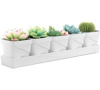 lbgwp60-Lot De 5 Pots D'Herbes Pour Plantes D'Intérieur Avec Plateau - Pour Votre Jardin D'Herbes Aromatiques Et Rebord De Fenêtre - Décoration Intérieure - Basilic, Menthe, Persil (Blanc)