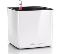 Lbgwp60-Pot De Fleurs D'interieur ¿ Cube Glossy ¿ Réserve D'eau Intégrée ¿ Coloris Blanc ¿ 17 X 17 X 16 Cm