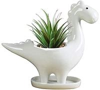 lbgwp60-Pot De Fleurs En Céramique Blanche En Forme De Dinosaure Pour Plantes Grasses, Bonsaï, Plantes De Dinosaures, Cactus, Décoration Animale, Pot À Crayons, Pot De Chambre D'Enfant (Herbivore)