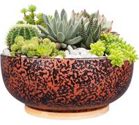 lbgwp60-Pot De Fleurs Juteux En Terre Cuite De 25,5Cm Avec Drain Et Plateau De Thé, Grand Pot De Fleurs Rondes Intérieur Noir