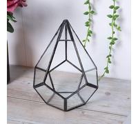Lbgwp60-Terrarium Géométrique En Verre Succulent ¿ ¿¿Mini Pot De Plantes À Effet De Serre Pour Pay ¿ 12 X 12 X 14 Cm ¿ Pour La Décoration De La Maison Et Du Bureau