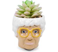 Lbgwp60-The Golden Girls Sophia Face Mini Ceramic Planter With Faux Succulent 3 Inches
