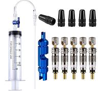 LBING Seringue de Mastic de vélo Tubeless et Outil de Retrait de Valve Presta avec Presta Valve Cores Obus Valve Presta Compatible avec Le kit de Montage Tubeless de Stans Sealants 60ML