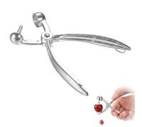 LBQUTN Dénoyauteur Cerise et Prune en Acier Inoxydable, Outil Manuel pour Dénoyauter Les Cerises et Olives, Extracteur de Noyaux Rapide et Efficace pour Cuisine et Confitures, 1 Pièce