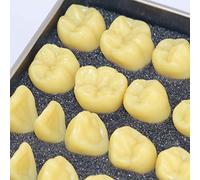 LBYLYH Modèle Anatomique des Dents humaines, Affichage Modèle résine modèle d'enseignement des Adultes Oral Zoom en 2 Fois Model Medical Education