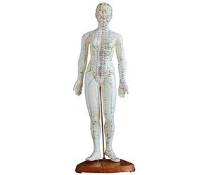LBYLYH Modèle de Corps Humain de Points d'acupuncture - Modèle d'acupuncture féminin de l'homme avec des Points méridiens - Meridien du Corps Humain Modèle Acupoint - pour la médecine Chinoise,Une