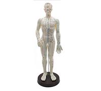 LBYLYH Modèle de Corps Humain Médecins Acupuncture Modèle Meridien du Corps Humain Acupoint - pour l'enseignement de la médecine Chinoise, Homme 50cm