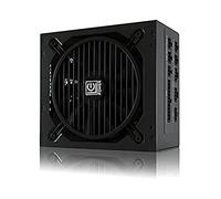 LC Power Alimentation pour PC LC550 V2.31 550 W 24-pin ATX Noir