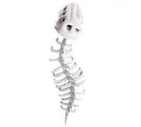 LCBKYDVM Realistic Dinosaur Skeleton Costume for Adults with 3D Skull Mask and Plush Jumpsuit, Halloween Cosplay Outfit for Theme Parties, Fancy Dress, and Role Play