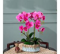 LCHJX Ensemble de Fleurs artificielles, Fleurs artificielles avec du Pot phalaenopsis Fleur Artificielle en Vase Fausse Fleur avec Planter Plantes en Pot pour décoration de Salon