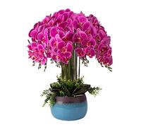 LCHJX Fausses Fausses réalistes PU phalaenopsis Fleur Artificielle avec Vase en céramique Fleur en Plastique Ensemble pour Le Bureau à Domicile Entrance de la Fausse décoration de Fleurs (8pcs)