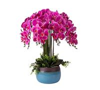 LCHJX Fausses Fausses réalistes PU phalaenopsis Fleur Artificielle avec Vase en céramique Fleur en Plastique Ensemble pour Le Bureau à Domicile Entrance de la Fausse décoration de Fleurs (8pcs)