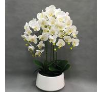 LCHJX Fleur Artificielle 23,6 Pouces artificielles orchidées de Soie Artificielle phalaenopsis Fleurs en Pot Fausse pour Table maîtresse de Table Fausse Florale