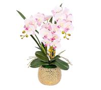 LCHJX Fleur Artificielle avec Vase en Porcelaine Faux Orchidées PU PHALAENOPSIS Formes Home ORCHIDE Artificiel 21IN False Floral (Rouge)