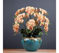 LCHJX Fleur Artificielle de Soie 65 cm Fleurs phalaenopsis artificielles avec Vase en Porcelaine en Fausses orchidées Modernes Fausses Florales (C)