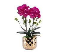 LCHJX Fleur Artificielle Phalaenopsis Fleur Artificielle avec Fleur de Fleur en céramique dorée Fausse Fleur pour la Table de Mariage en Plastique de la Table de Fleur en Plastique (B)