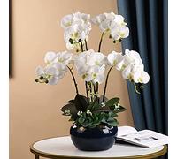 LCHJX Fleur Artificielle Phalaenopsis Fleur Artificielle avec Vase en céramique Fausse Fleur Ensemble pour la Maison Salon Salle à Manger décoration en Plastique décoration centrales (e)