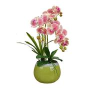 LCHJX Fleur Artificielle Phalaenopsis Fleur Artificielle avec Vase en céramique Vert Fleur en Plastique pour Le Bureau de Bureau à Domicile Fausse décoration de Fleur Centres de Table