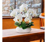 LCHJX Fleurs d'orchidées artificielles avec Vase, Faux Arrangement d'orchidées en Soie phalaenopsis Arrangement Floral pour décoration de Table de Table de fête pour la Maison pour la Maison de