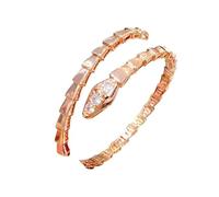 LCHJX Nouveau 2026 Unisexe Stainles Stell pour l'arrivée Crystal Eye Modèle de serpent Bangle Femme Accessoires de poigne