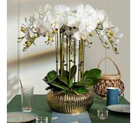LCHJX Orchidée Artificielle 63 cm Fleur Artificielle avec Vase en céramique Faux Floral Faux phalaenopsis Fleurs de Fausses orchidées Modernes (b)