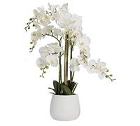 LCHJX Phalaenopsis Artificiel avec Vase en céramique orchidées en Pot Plantes artificielles Fausses bonsaï Arrangements de Fleurs de Table