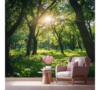 LCHMQ Mural WallpaperRealistic SunlightWallpaper Mural RemovableNatural ForestPoster Print 3D Effect Decoration for Bedroom 300x210cm
