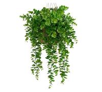 LCKKJHG Plantes Artificielles 1 Plante Artificielle d'eucalyptus de 60 cm, for décoration de Maison, Jardin, fête, Mariage, Noël, Bon marché(Green)
