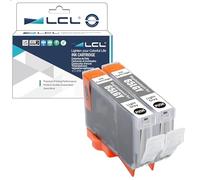 LCL Cartouche d'encre Compatible CLI65 CLI-65 LGY CLI-65LGY (2 Gris Clair) Remplacement pour Canon PIXMA PRO-200