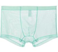lclvld Boxer Sexy pour Hommes Pantalons Transparents Transparents sous-v괥ments Lingerie Sexy sous-v괥ments Transparents,Light Blue,L