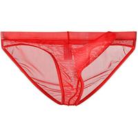 lclvld Hommes Slips sous-vêtements Maille Transparente Voir à Travers Les Slips Sexy érotique Hommes sous-vêtements éléphant Renflement sous-vêtements