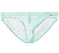 lclvld Hommes Slips sous-vêtements Maille Transparente Voir à Travers Les Slips Sexy érotique Hommes sous-vêtements éléphant Renflement sous-vêtements