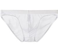 lclvld Slips pour Hommes Slips Taille Basse sous-vêtements Sexy Slips Transparents Sexy Slips en Soie glacée sous-vêtements Respirants