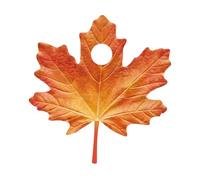 LCSVCCXA Déguisement Feuille D'Érable Costume Adulte Tenue Cosplay Unisexe Accessoire Mascarade Matériau Éponge Facile à Porter Indiqué pour Halloween Fête SP, Style B