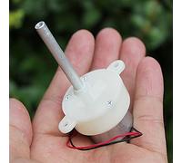 Lcuihong-Mini moteur à courant continu Moteur de réducteur de vitesse lente, DC 6V-12V 7.2V 9V 10RPM, Mini 300 motoréducteur, moteur d'inversion de boîte de vitesses longue d'arbre, DIY Petite étape d