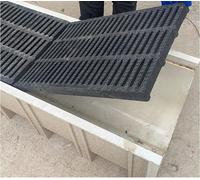 LCUVIMPEX Grille de Canal de Drainage, Couvercle de vidange en polymère, 2 pièces, Drainage Rapide, antidérapant, Charge élevée, extérieur, Plusieurs Tailles(L 50cm X W30cm X H3cm)