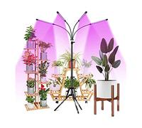 LCUVIMPEX La LED s’éclaire, Lampes de Culture LED d'intérieur 100 W, Quatre têtes, 10 Niveaux d'intensité réglables et minuterie 3/9/12 h, trépied réglable 60-150 cm