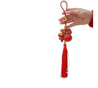 LCUVIMPEX Pendentif nœud Chinois, Pendentifs de Personnage Fu Multicolores for la fête du Printemps, Nouvel an 2026, décor d'entrée Salon(Prosperouswealth)