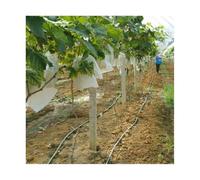 LCUVIMPEX Sacs de Protection des Fruits, Lot de 100 Sacs de Protection en Filet for Fruits et légumes(30x36cm)