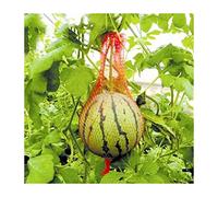 LCUVIMPEX Sacs de Protection des Fruits, Lot de 50 Sacs de Protection en Maille avec Cordon de Serrage for Fruits et légumes 40 cm