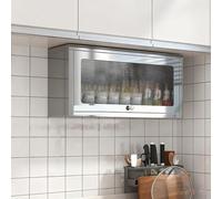 LCUVIMPEX Vitrine de collectionneur, Armoire de Rangement Murale en Acier Inoxydable avec Porte Rabattable, Plusieurs Tailles(70cm/27.5in)